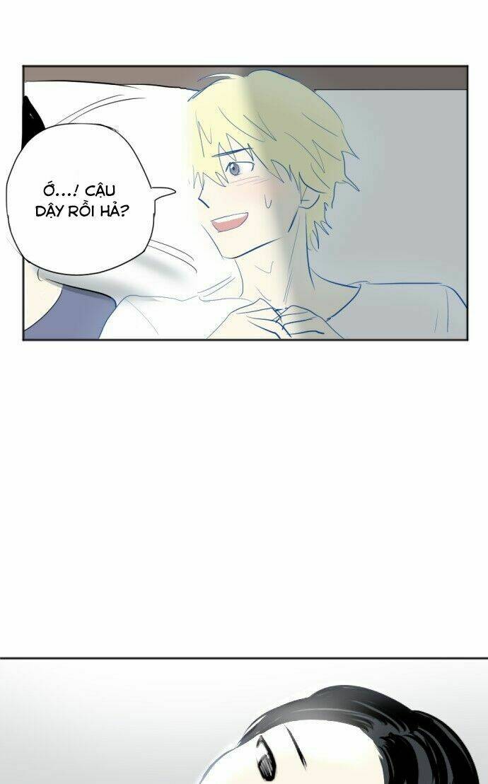 Transparent Cohabitation: Chapter 16