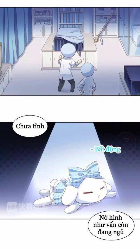Dưới Móng Vuốt Mèo: Chapter 15