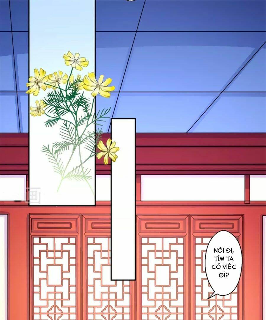 Khuynh Thế Y Phi Muốn Bỏ Chồng: Chapter 42