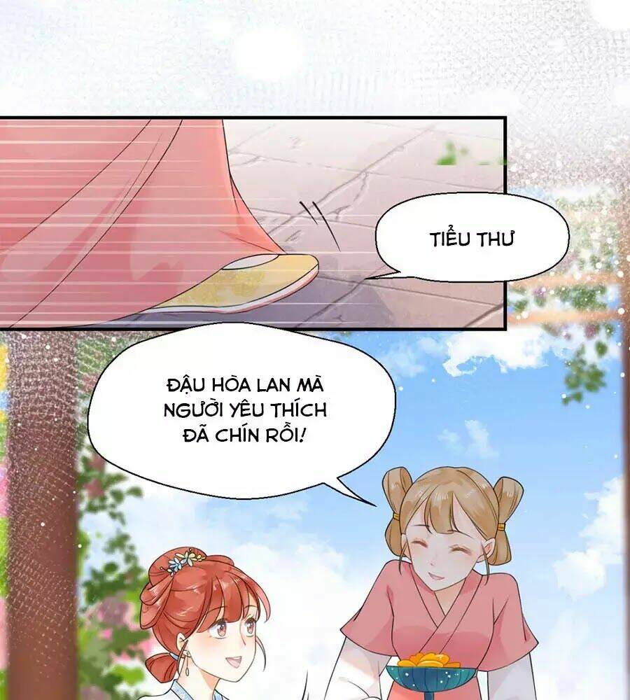 Tang Lạc Túy Tại Nam Phong Lý: Chapter 13
