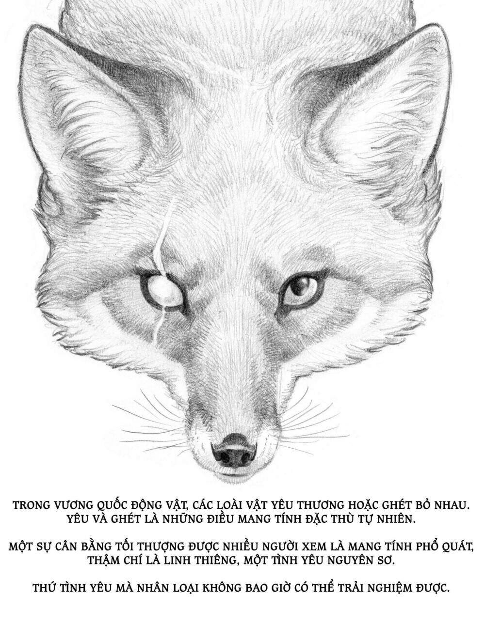 Love - Tình Nơi Hoang Dã: Chapter 6