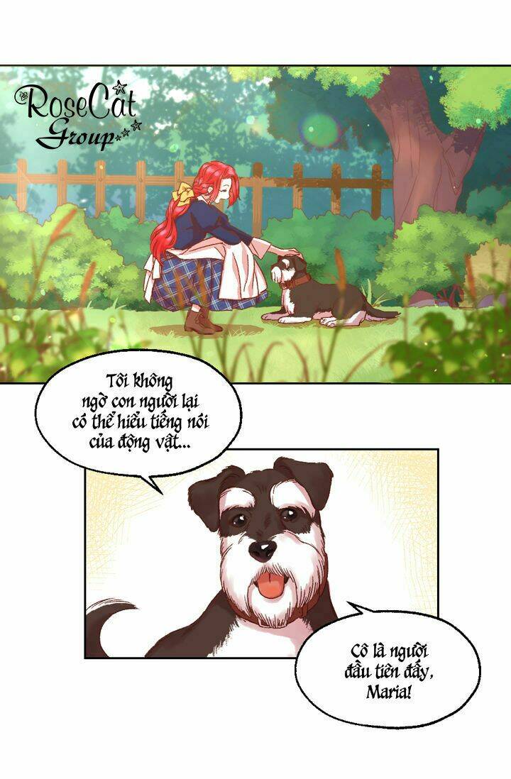 Cuộc Sống Giống Như Cô Gái Maria Lewellin: Chapter 0