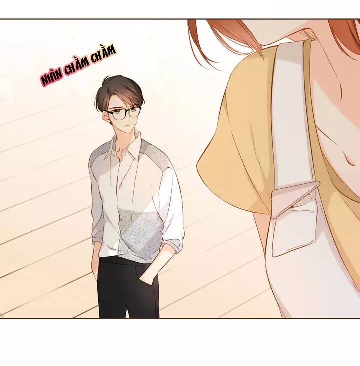 Tình yêu là màu hoa anh thảo: Chapter 35.3