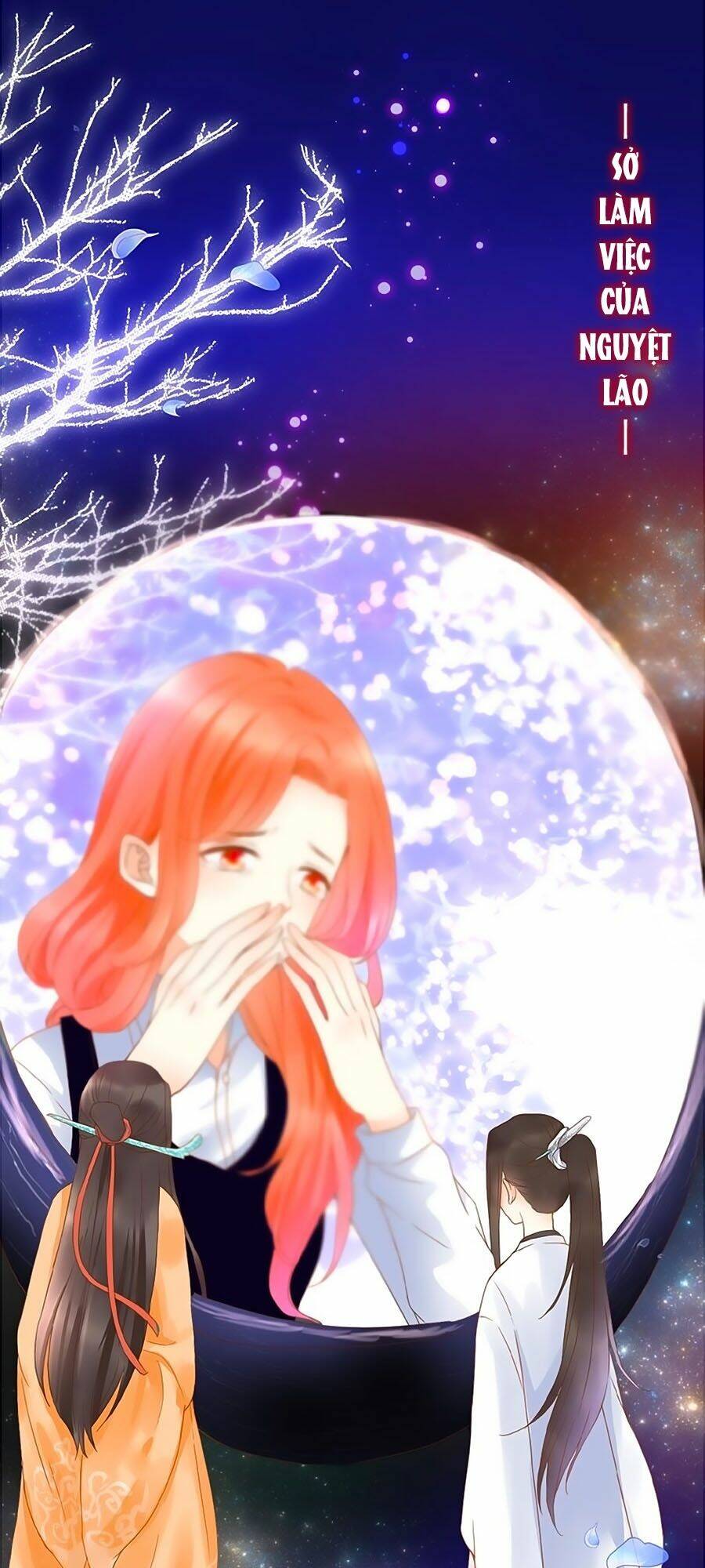 Đóa Hoa Chớm Nở: Chapter 2