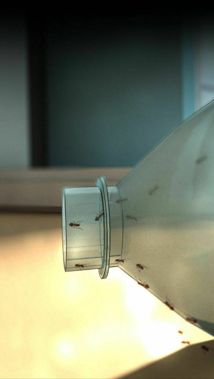 Dead Days: Chapter 4