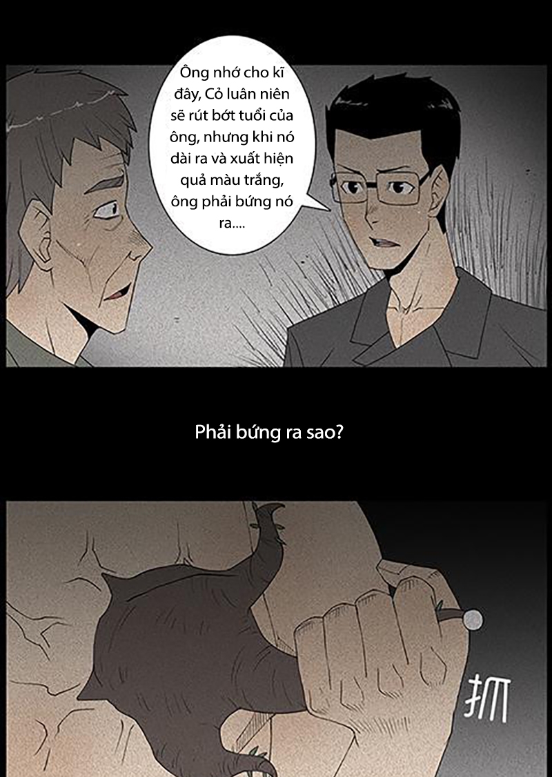 Chuyện Lạ Đêm Khuya: Chapter 41