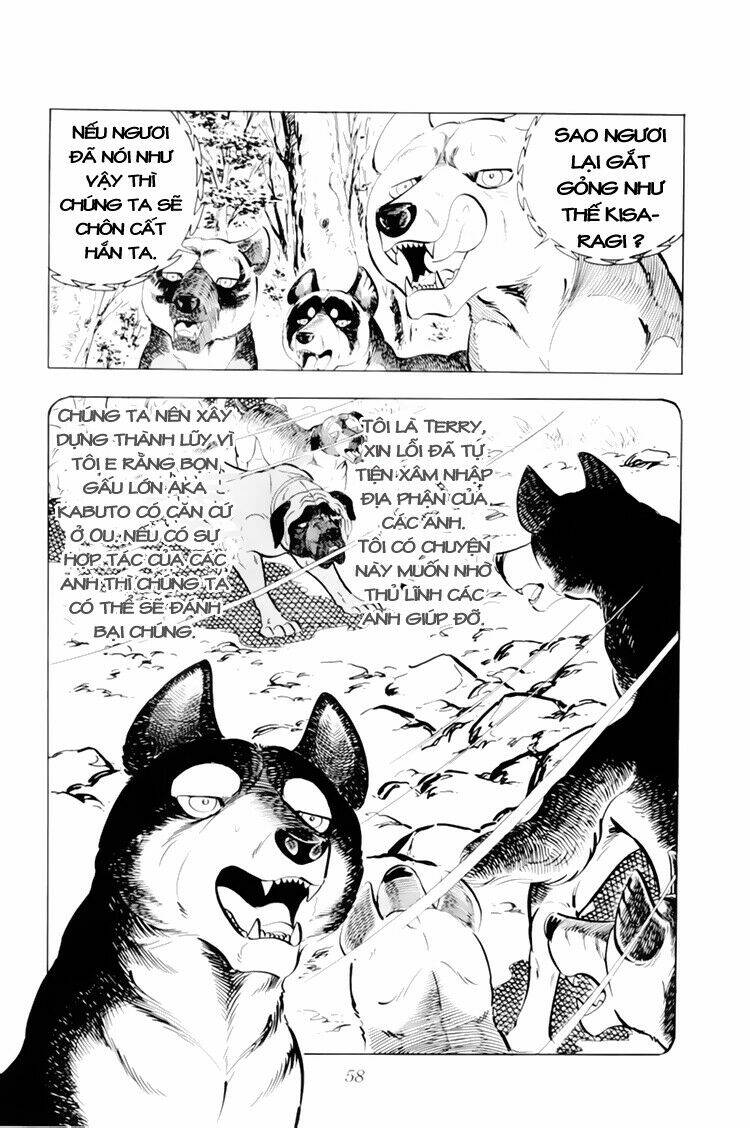 Chú Chó Có Nghĩa - Ginga Nagareboshi Gin: Chapter 32.1