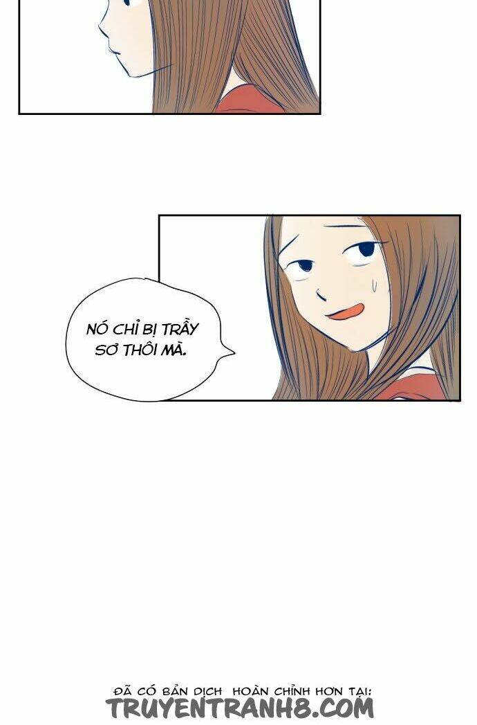 Transparent Cohabitation: Chapter 9