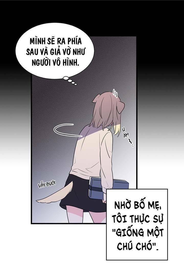 Cô Dâu Của Miêu Hoàng Tử: Chapter 1