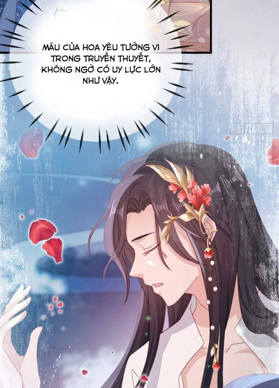 Mau Xuyên Không Rửa Tội Cho Nhân Vật Phản Diện: Chapter 113