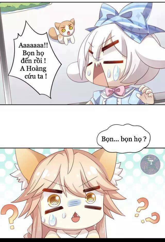 Dưới Móng Vuốt Mèo: Chapter 15