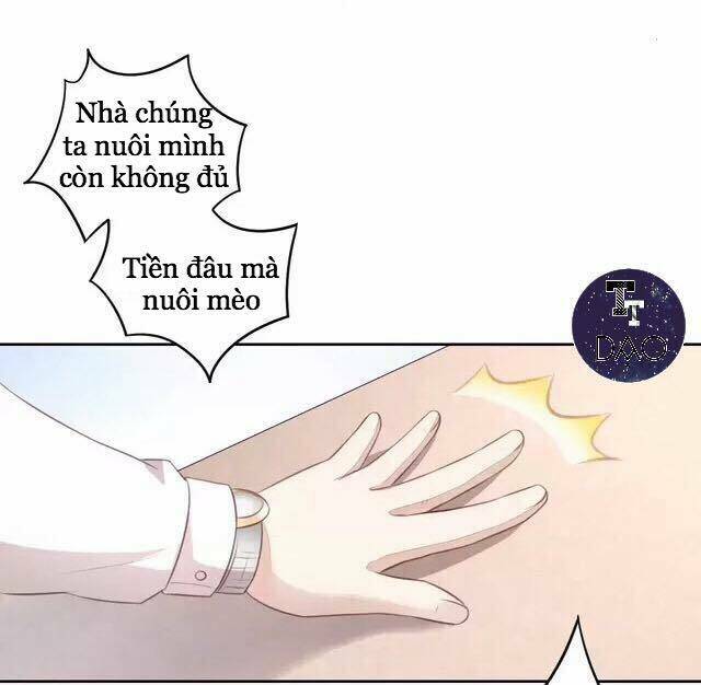 Dưới Móng Vuốt Mèo: Chapter 20