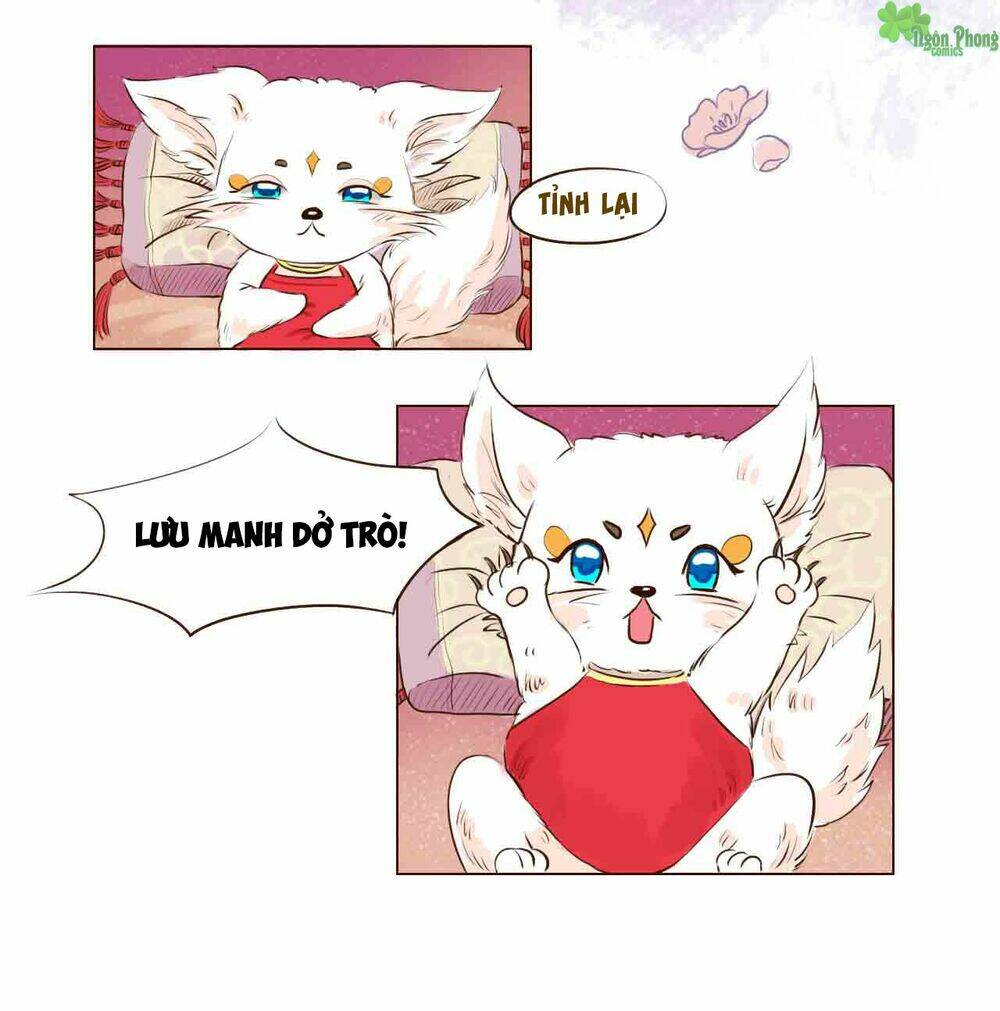 Mẫu Phi Đuôi Của Người Lộ Ra Rồi Kìa: Chapter 4