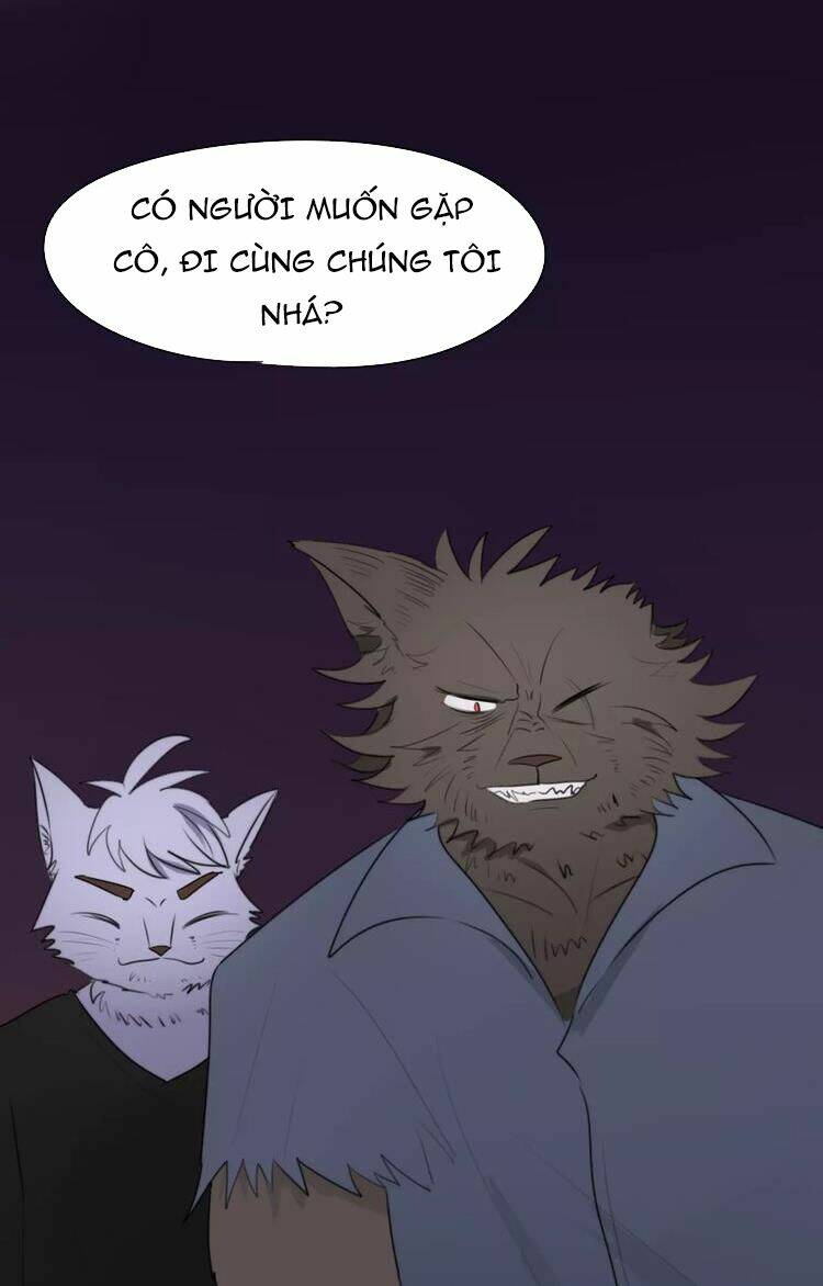 Tiểu Miêu Và Hắc Diệu Thạch: Chapter 7