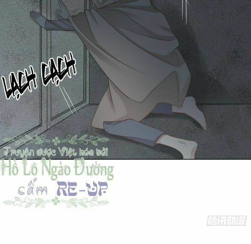 Điều Giáo Gấu Bắc Cực: Chapter 41