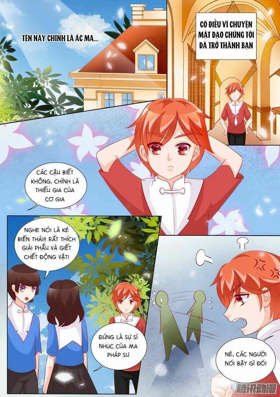 Chước Chước Lưu Ly Hạ: Chapter 94