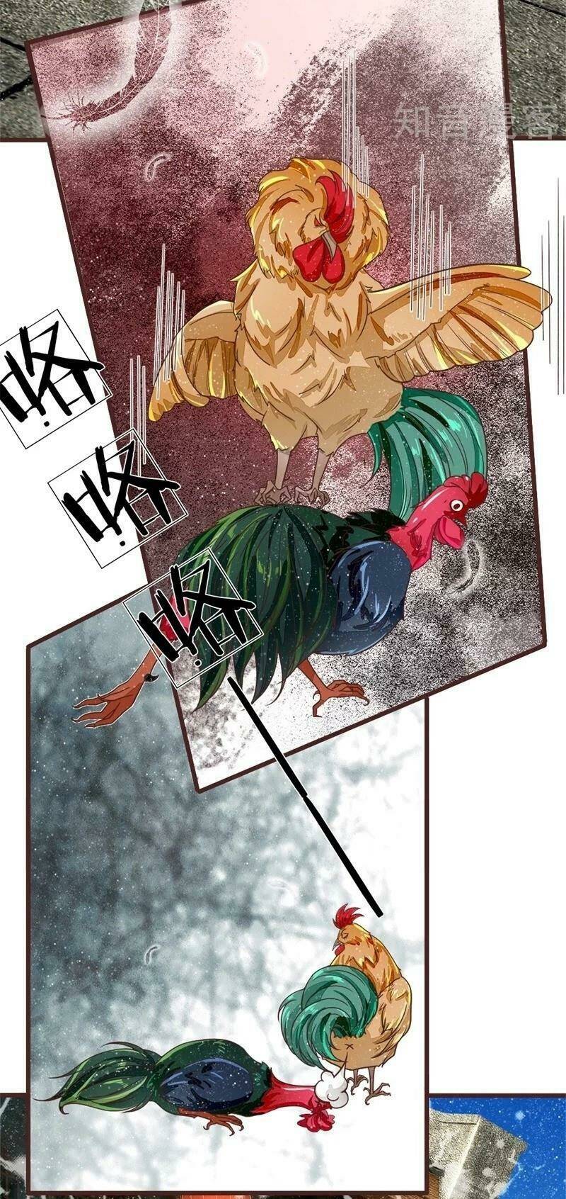 Đệ Nhất Hoàn Khố: Chapter 91