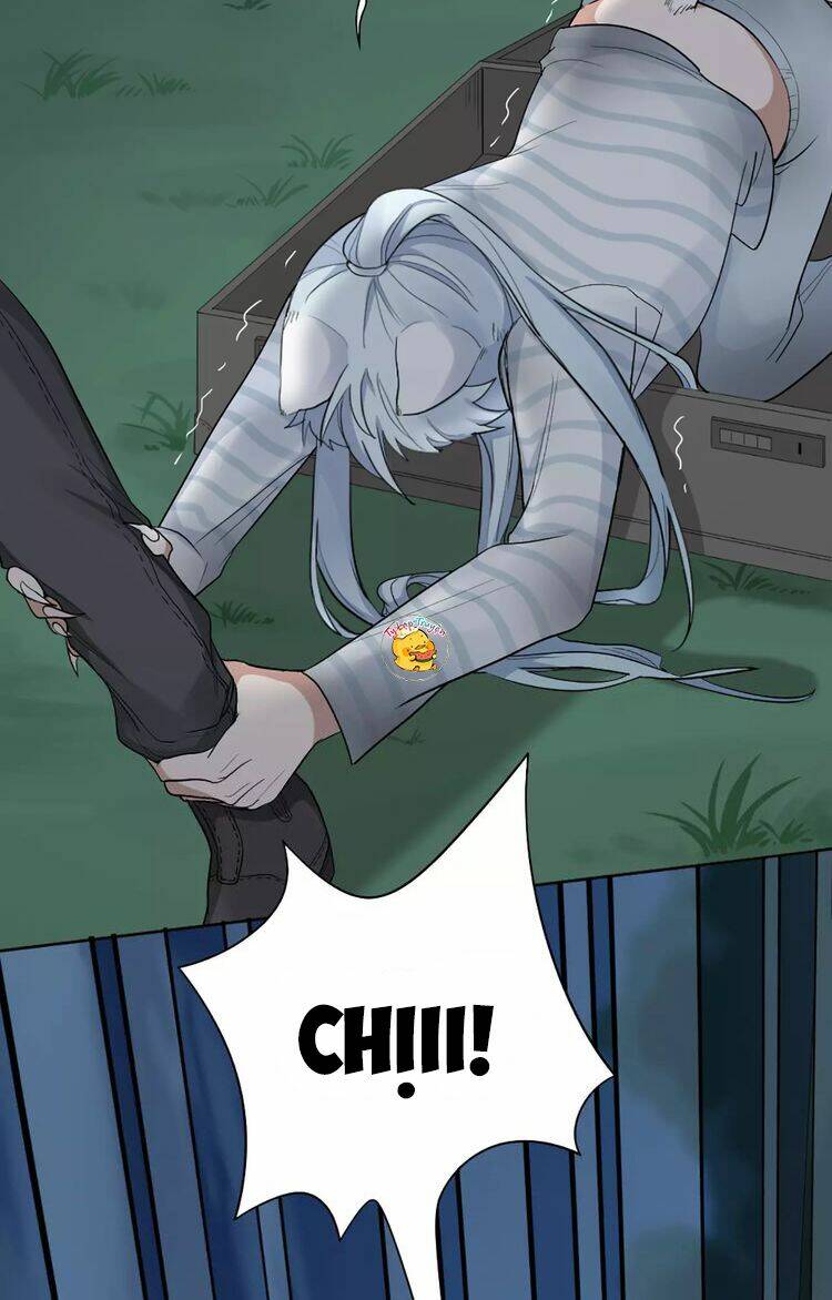 Bạn Trai Là Quái Vật: Chapter 13