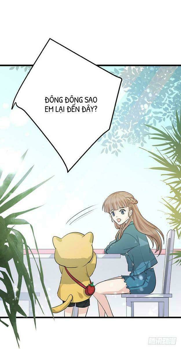 Chào Buổi Sáng, Ức Vạn Manh Thê: Chapter 4