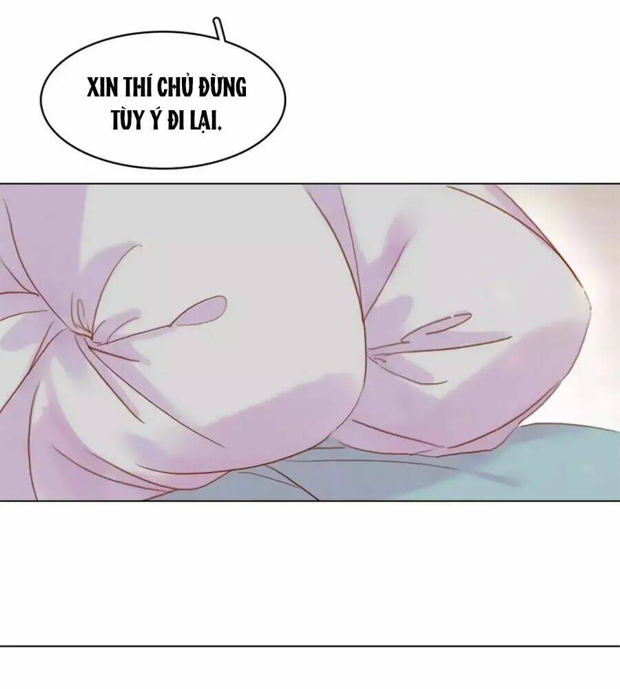 Tiểu Sư Phụ, Tóc Giả Của Ngài Rơi Rồi!: Chapter 16