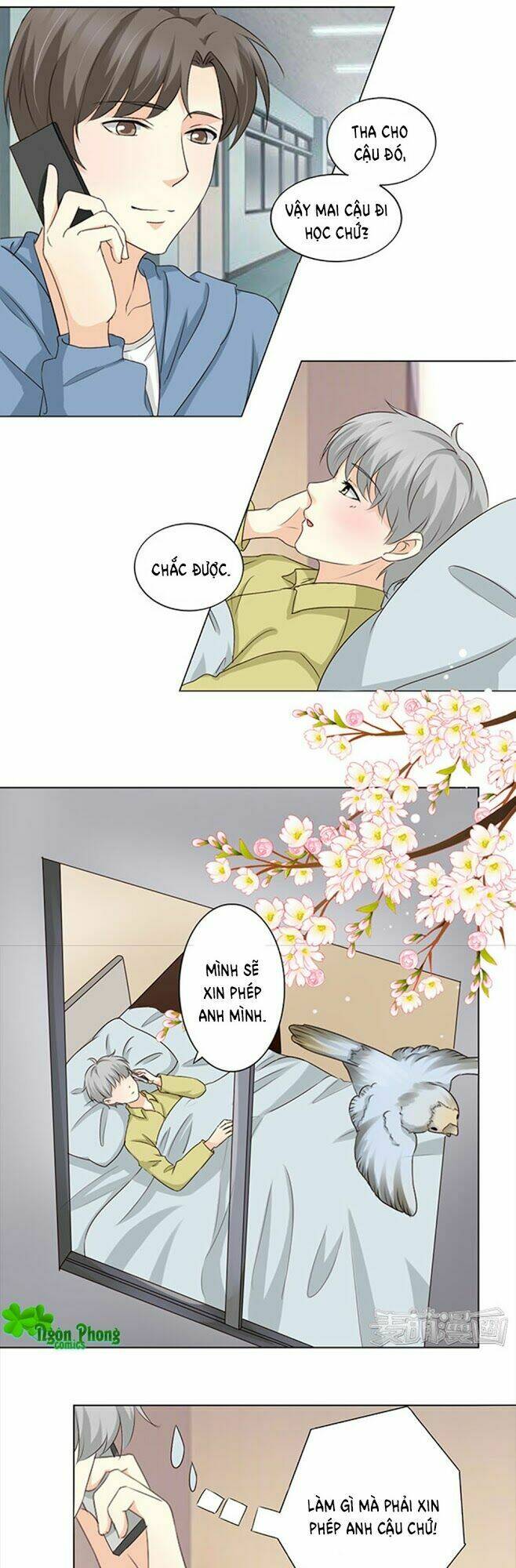 Tổng Tài Bá Đạo Là Gay: Chapter 44