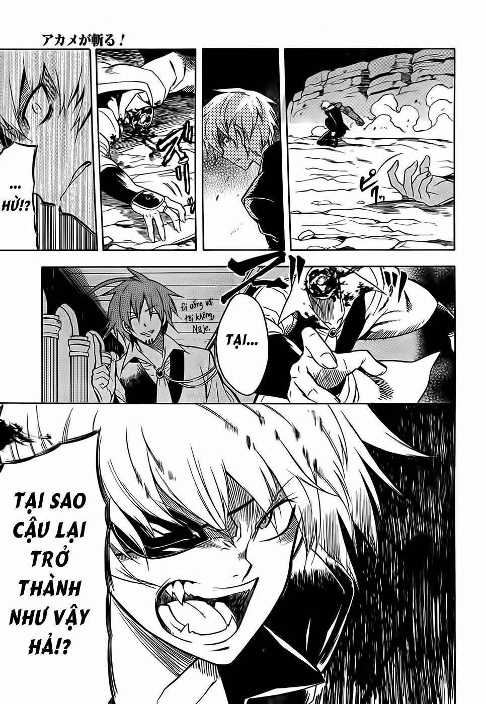 Akame Ga Kiru: Chapter 31