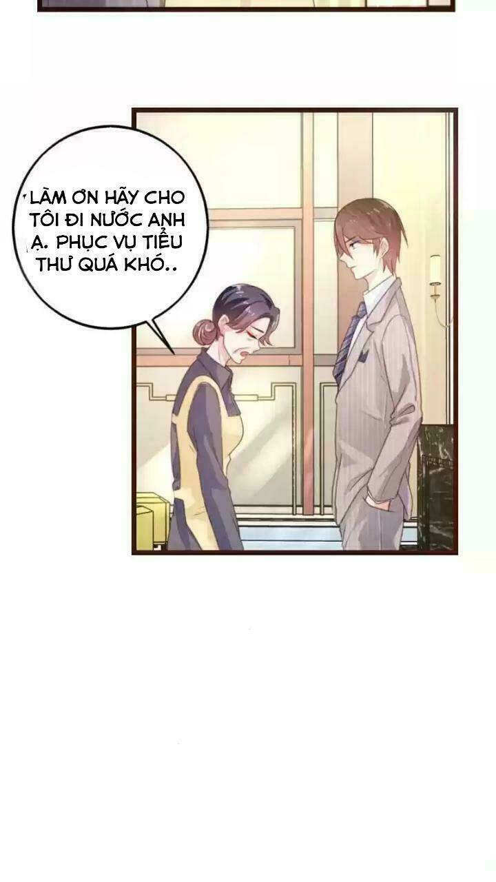 Bản Hợp Đồng Của Tổng Tài Lạnh Lùng: Chapter 4