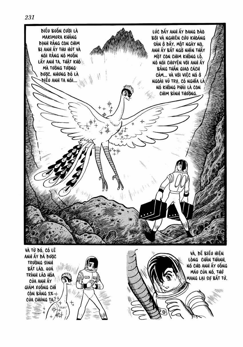 Chim Lửa: Chapter 40