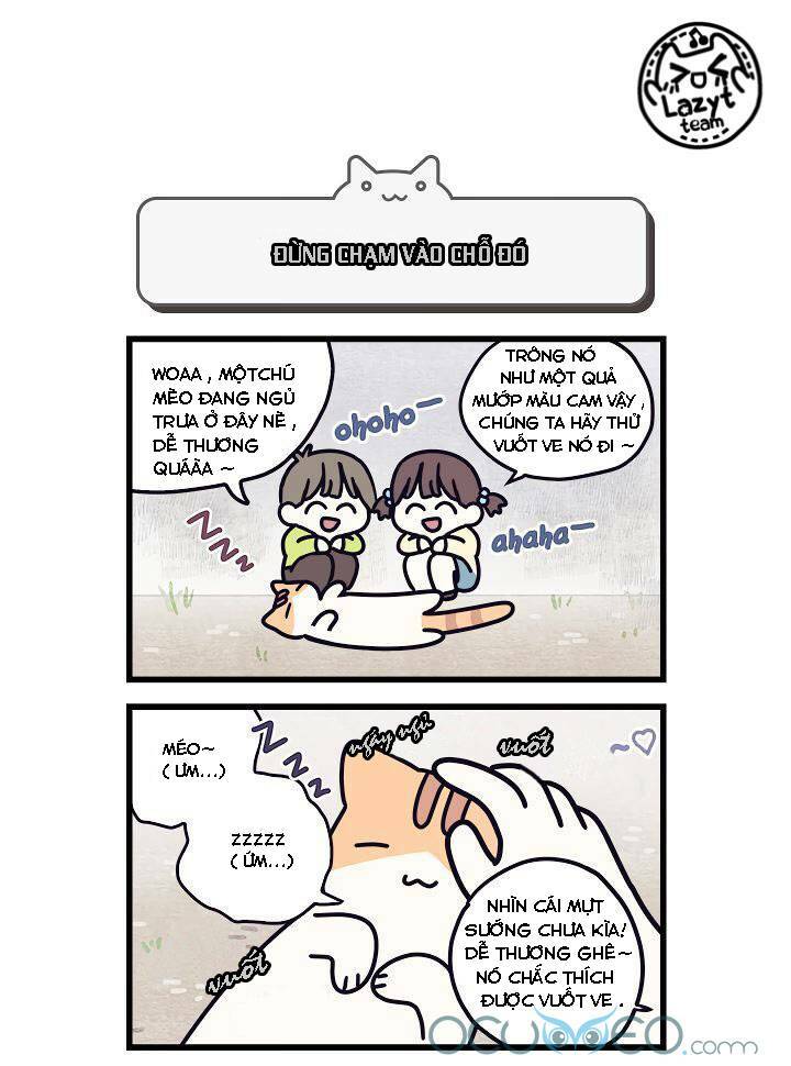 Khi Loài Mèo Làm Bá Chủ Thế Giới: Chapter 5