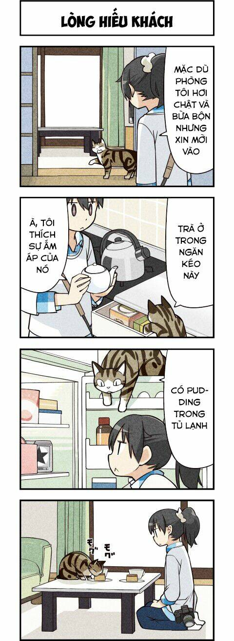 We Are Cat: Chapter 14