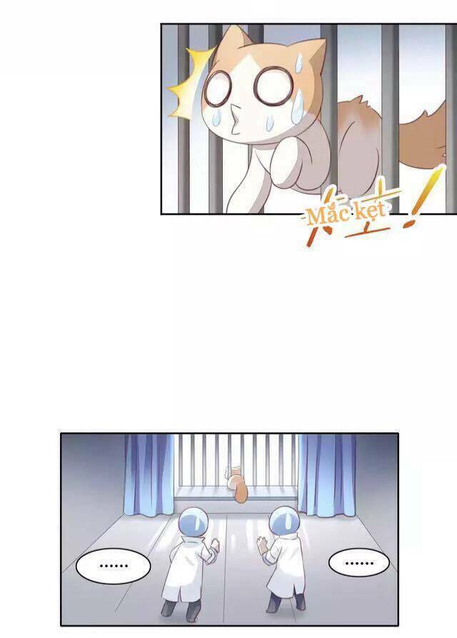 Dưới Móng Vuốt Mèo: Chapter 15
