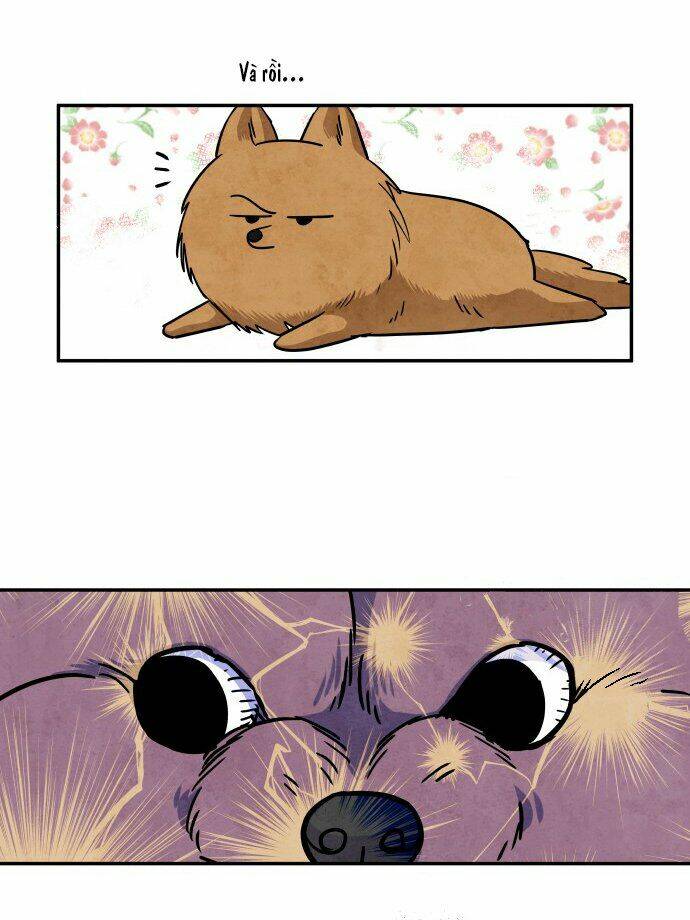 Tai Sói Và Mũ Đỏ: Chapter 31
