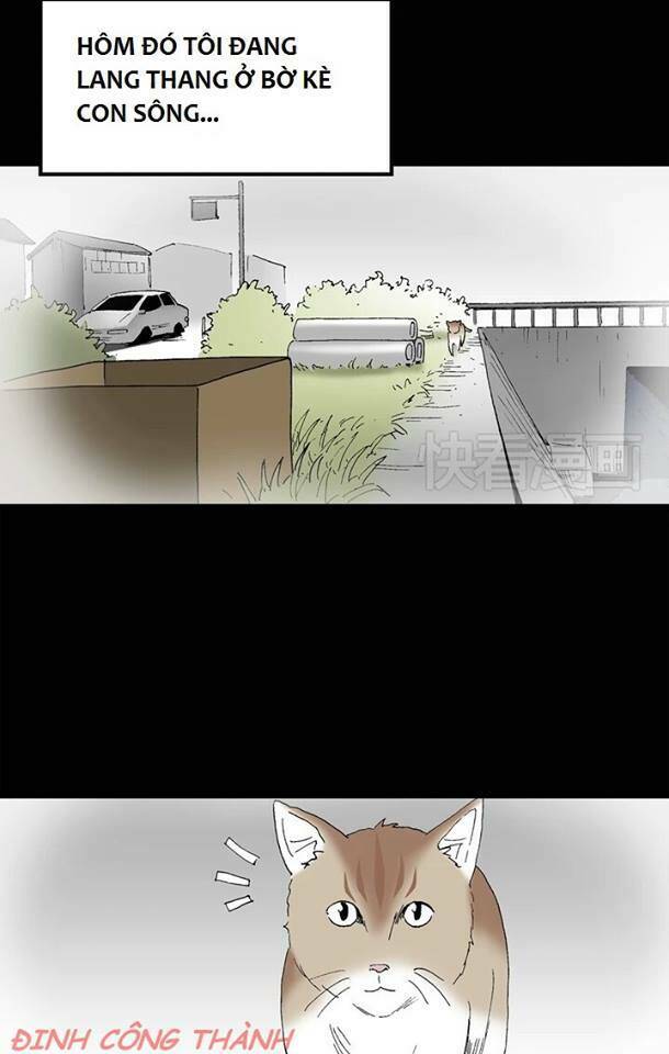 Bút Tiên: Chapter 10