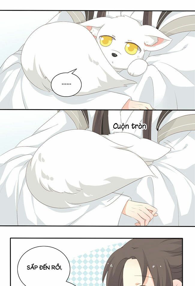 Quy Tự Dao: Chapter 37