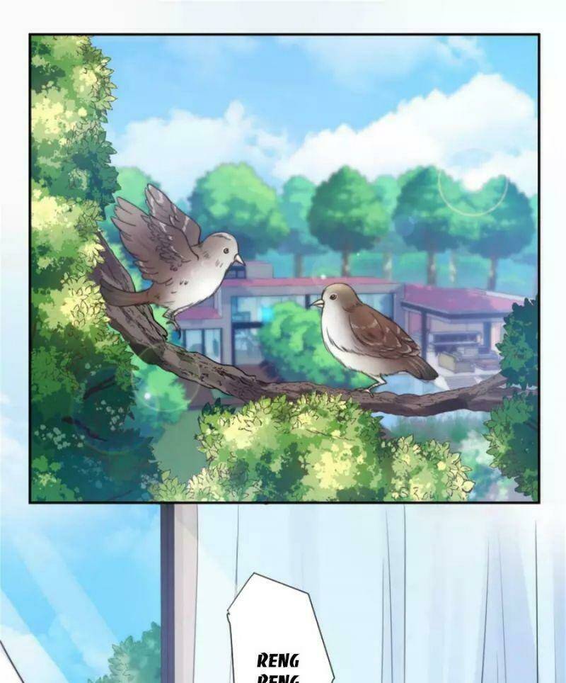 Tổng Tài, Tránh Xa Tôi Ra: Chapter 35