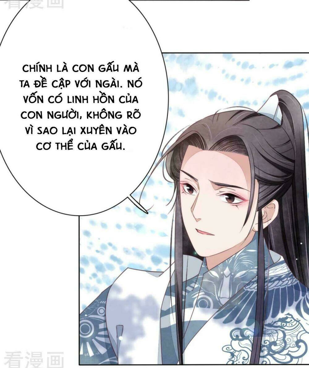 Xuyên Về Cổ Đại Làm Quốc Bảo: Chapter 12