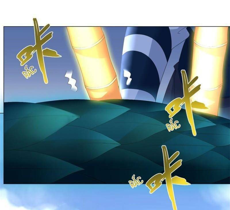 Chí Tôn Trọng Sinh: Chapter 40