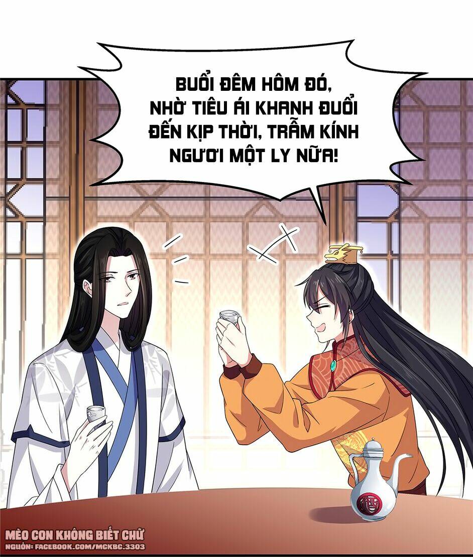 Báo Cáo! Đế Quân Ngài Có Độc!: Chapter 28