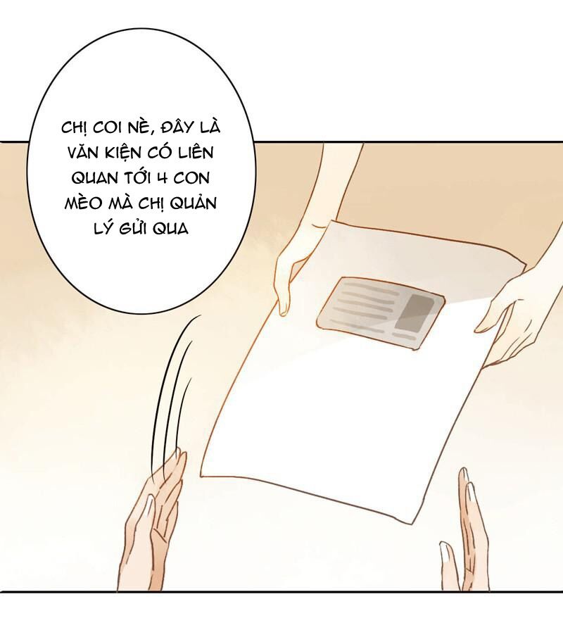 Sức Mạnh Của Sắc Đẹp: Chapter 45
