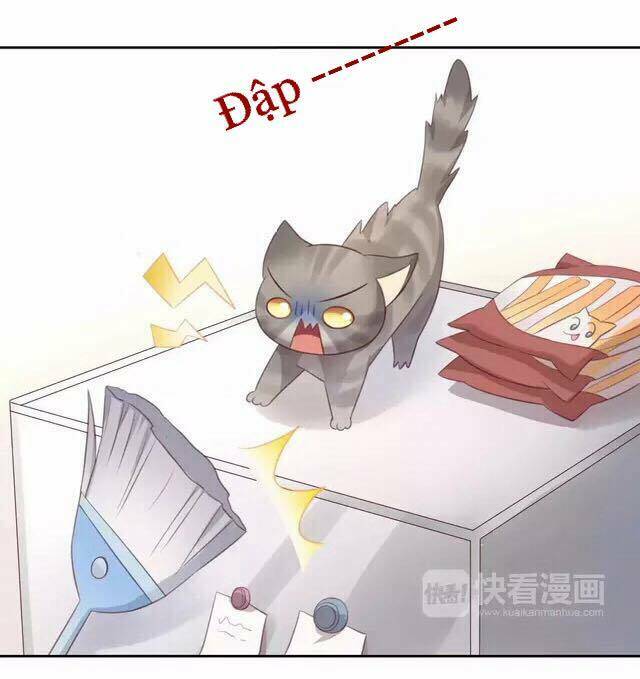 Dưới Móng Vuốt Mèo: Chapter 20