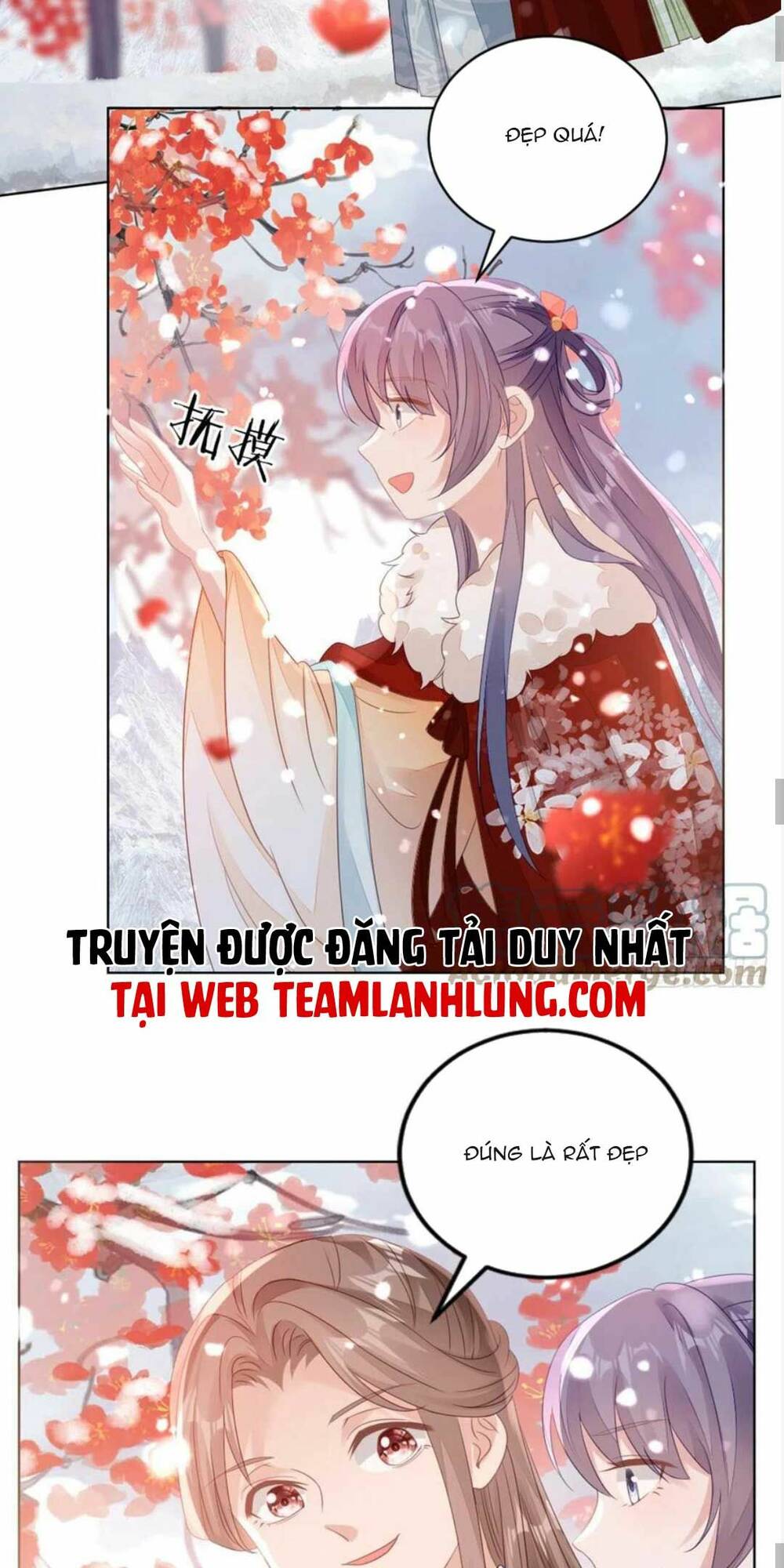 Mau Xuyên Không Rửa Tội Cho Nhân Vật Phản Diện: Chapter 136