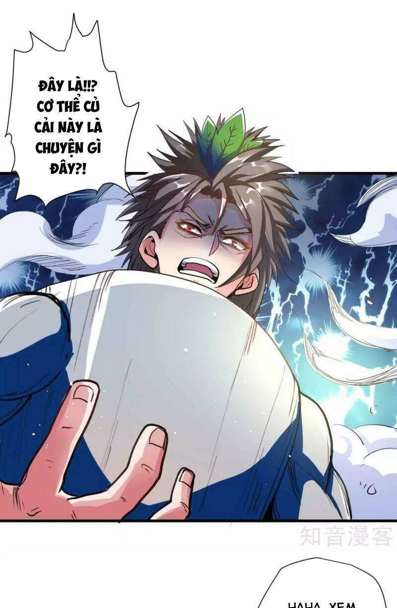 Tối Cường Đại Biểu Hoàng Kim Thận: Chapter 109