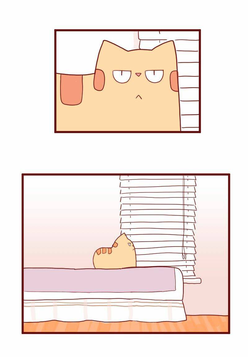 Saphie: Chú mèo một mắt: Chapter 10