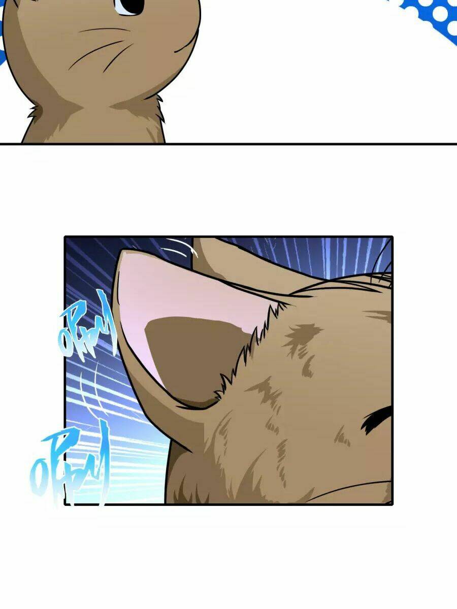 Hộ Hoa Cao Thủ Tại Đô Thị: Chapter 77