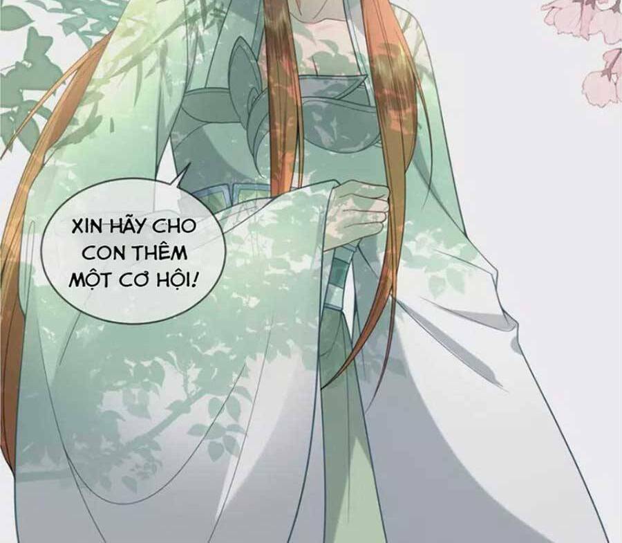 Tướng Quân, Bổn Phi Không Nhận Sủng: Chapter 40