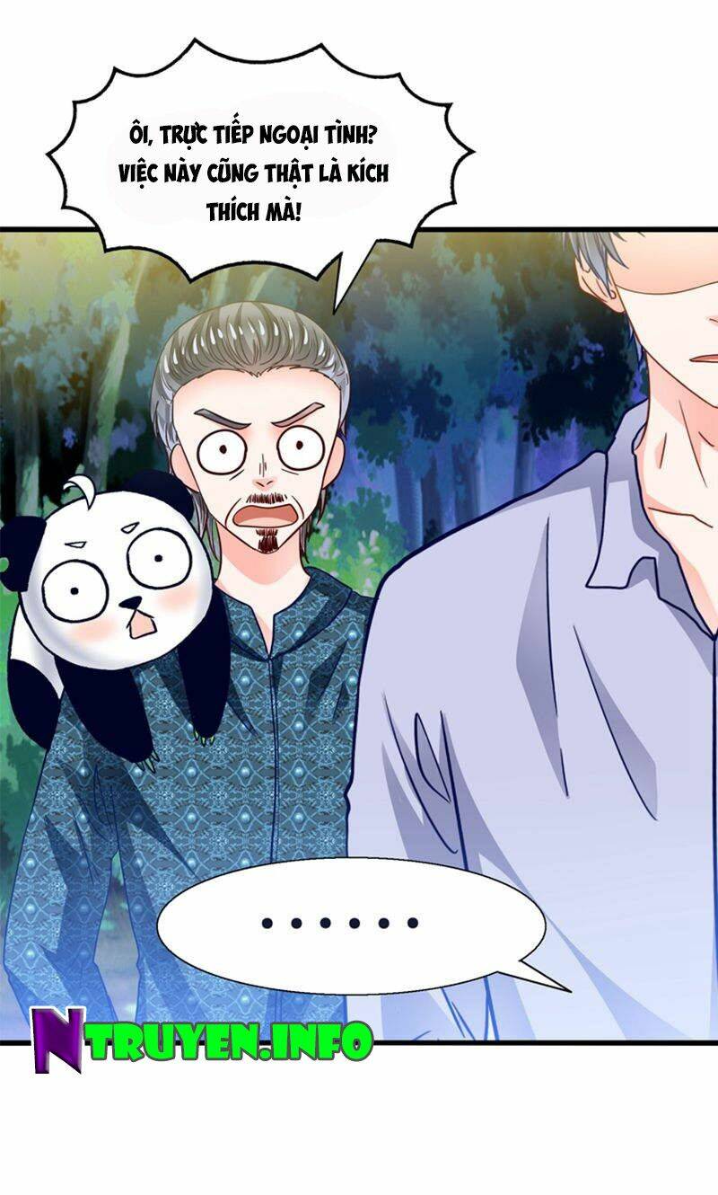 Tôi Bị Gấu Trúc Nhìn Trúng Rồi: Chapter 24