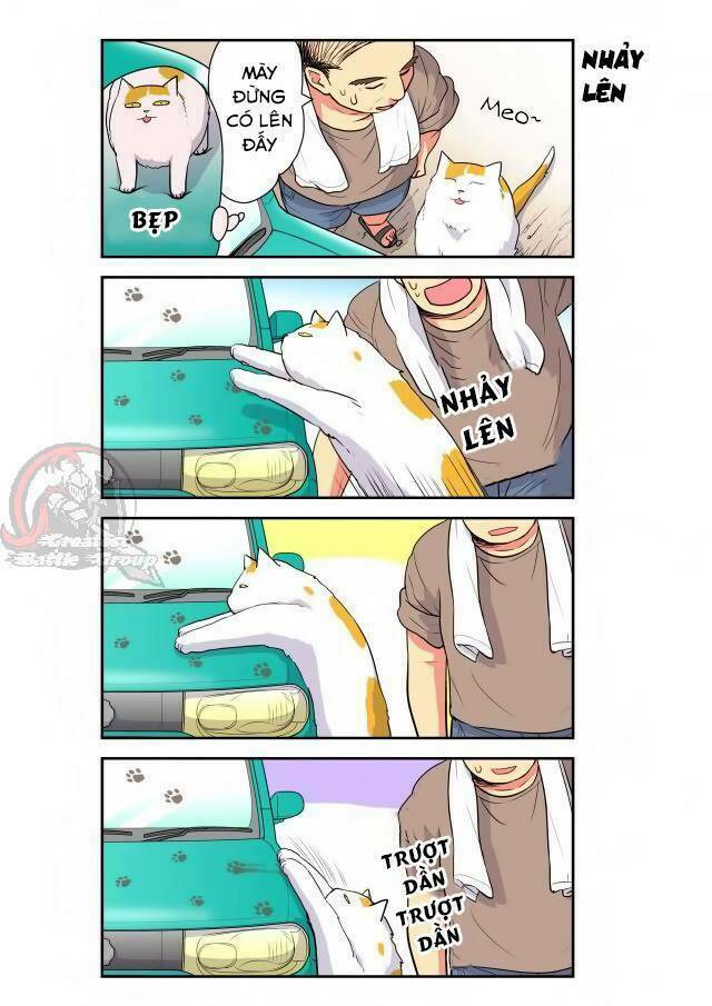 Cat is silver vine: Chapter 19