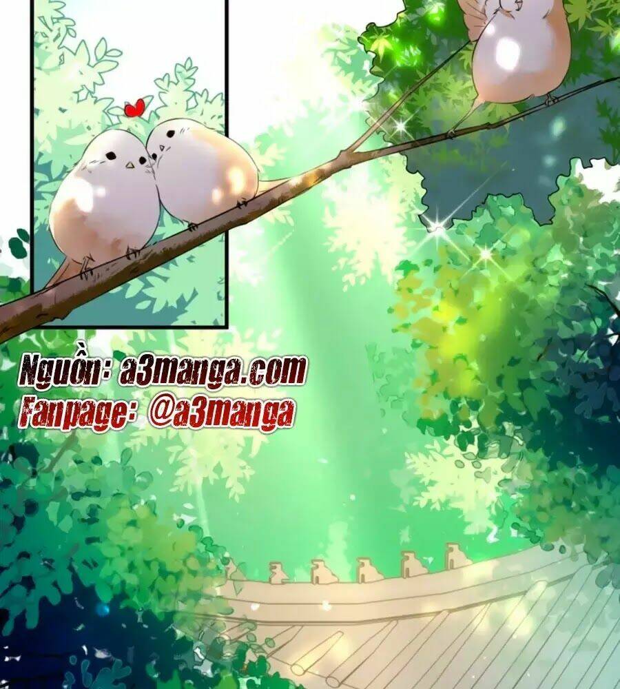 Vương Phi Có Chút Nghịch Ngợm: Chapter 63