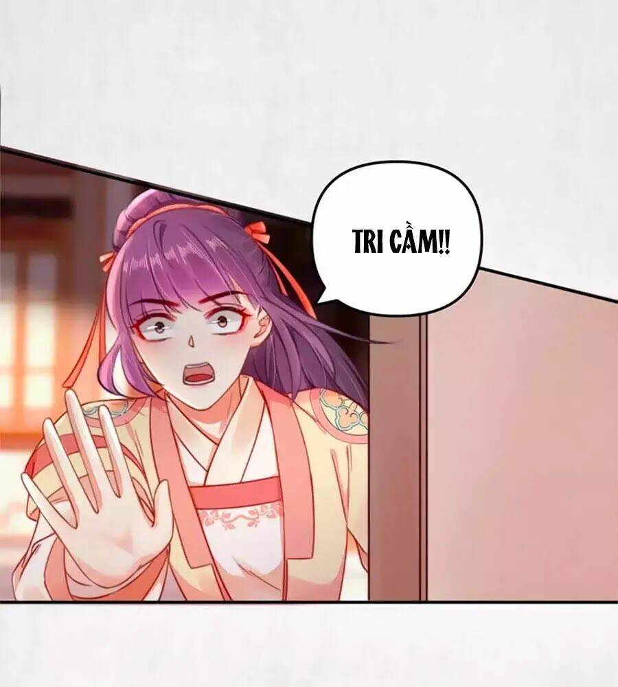 Hoạn Phi Hoàn Triều: Chapter 44