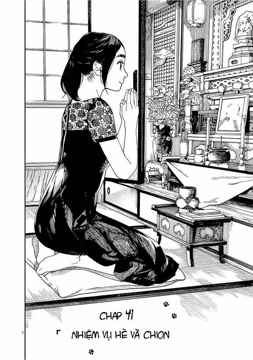 Neko No Otera No Chion-San: Chapter 41